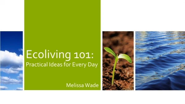 Ecoliving 101: Practical Ideas for Every Day