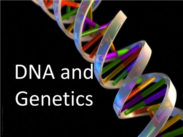 DNA and Genetics