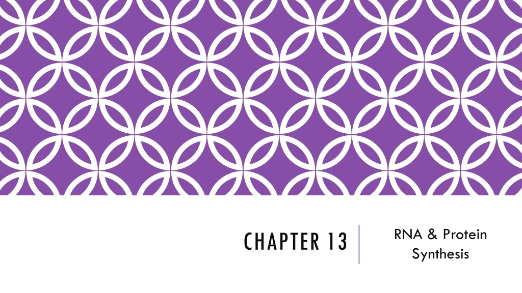 chapter 13