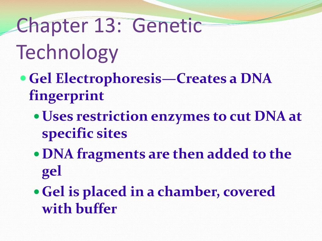 chapter 13 genetic technology