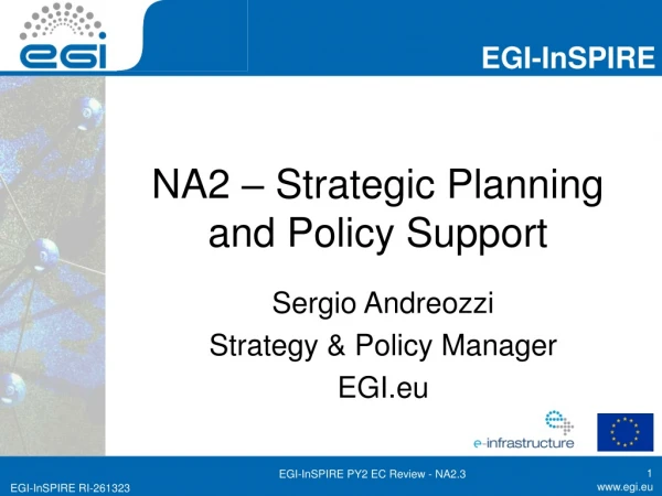 NA2 – Strategic Planning and Policy Support
