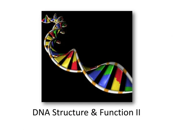 DNA Structure &amp; Function II