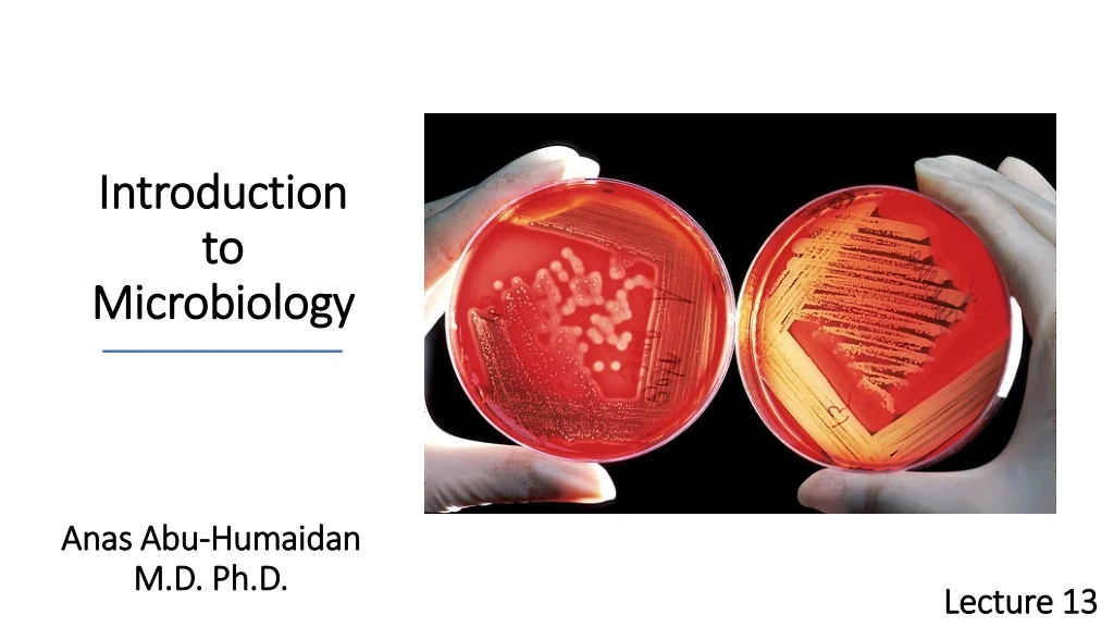 introduction to microbiology