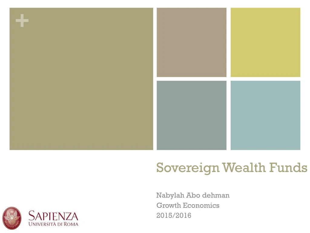 sovereign wealth funds