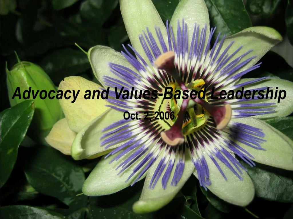 advocacy and values based leadership oct 2 2006
