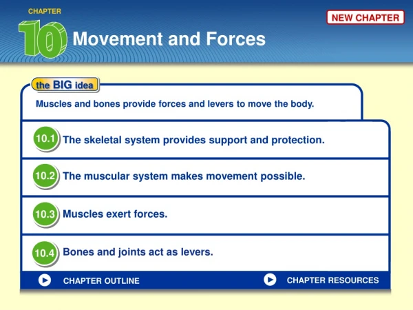 Movement and Forces