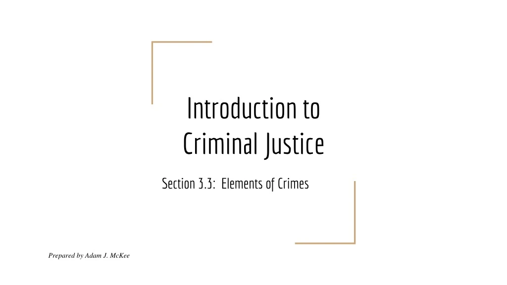 introduction to criminal justice