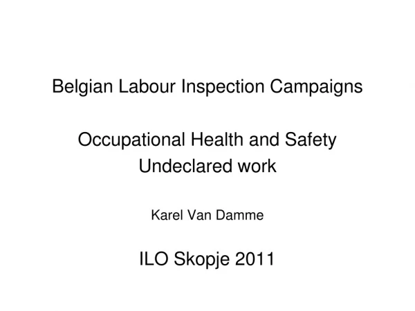 Belgian Labour Inspection Campaigns Occupational Health and Safety Undeclared work Karel Van Damme