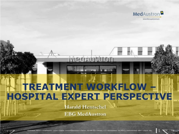 Treatment workflow – hospital expert perspective