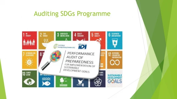 Auditing SDGs Programme