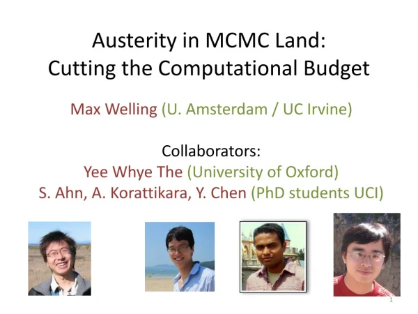 Austerity in MCMC Land: Cutting the Computational Budget
