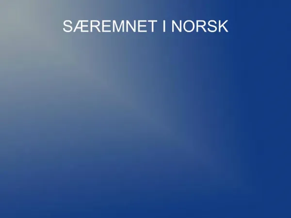 S REMNET I NORSK