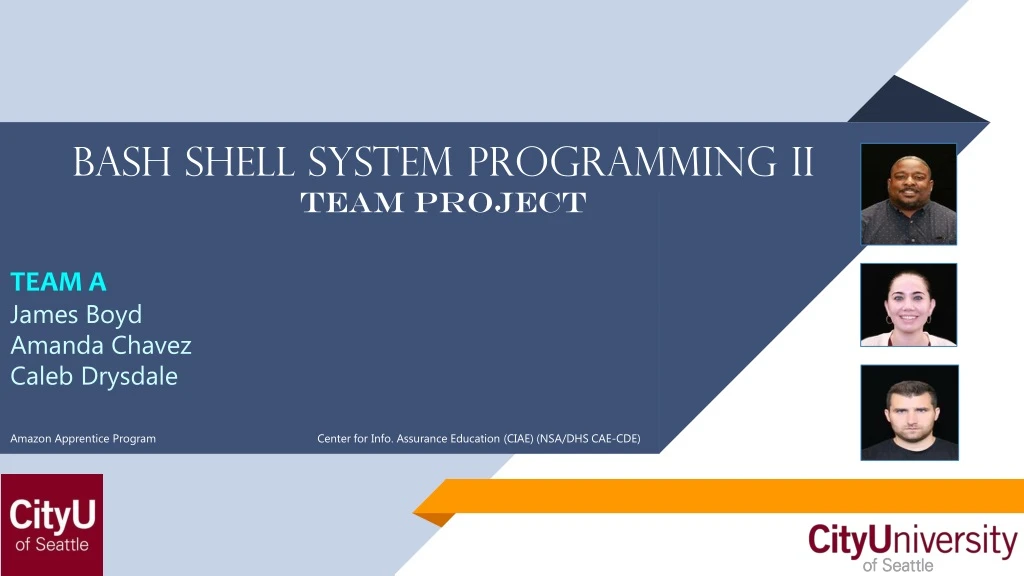 bash shell system programming ii team project