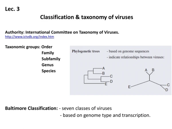 Lec . 3 Classification &amp; taxonomy of viruses
