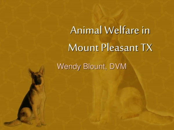 Animal Welfare in Mount Pleasant TX