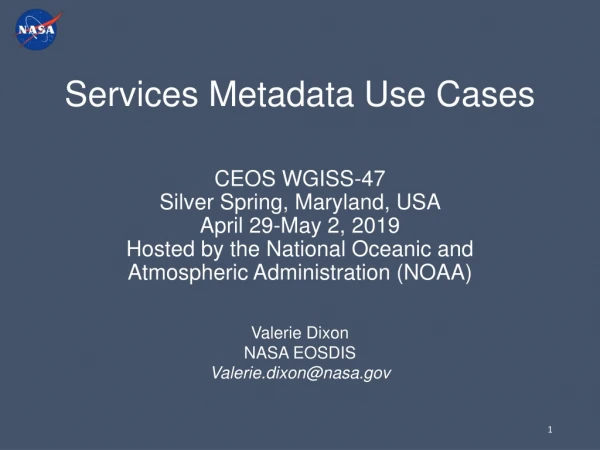 Services Metadata Use Cases