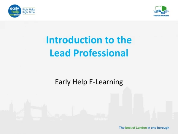 Introduction to the Lead Professional