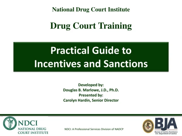 Practical Guide to Incentives and Sanctions