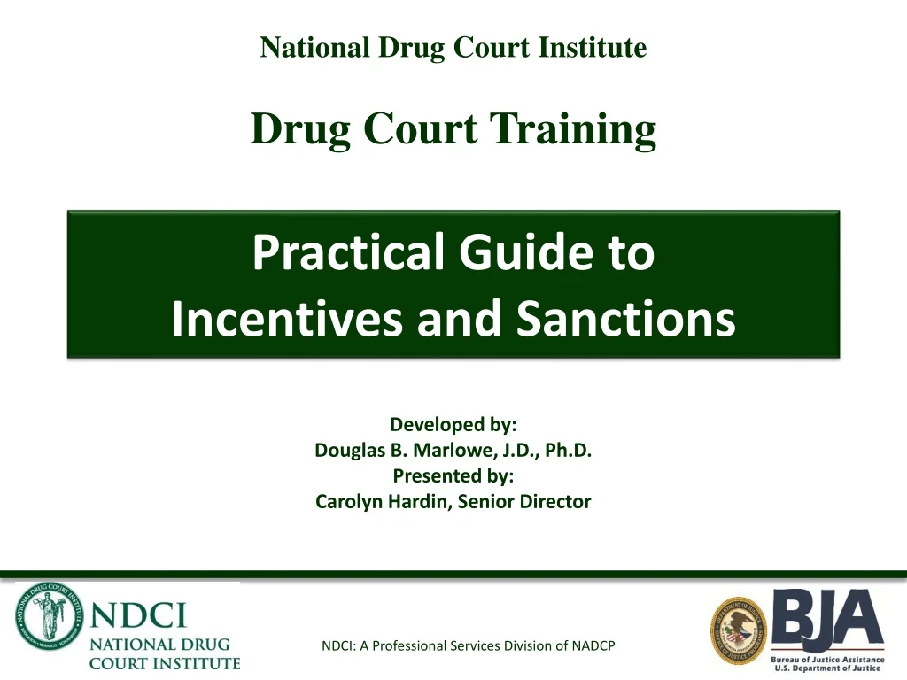 practical guide to incentives and sanctions