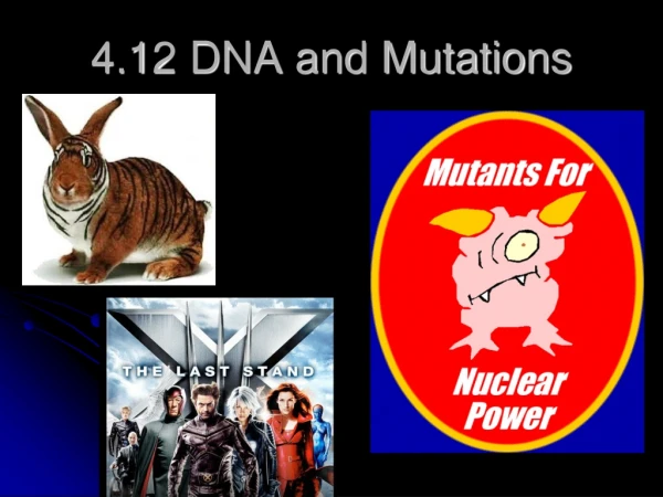 4.12 DNA and Mutations