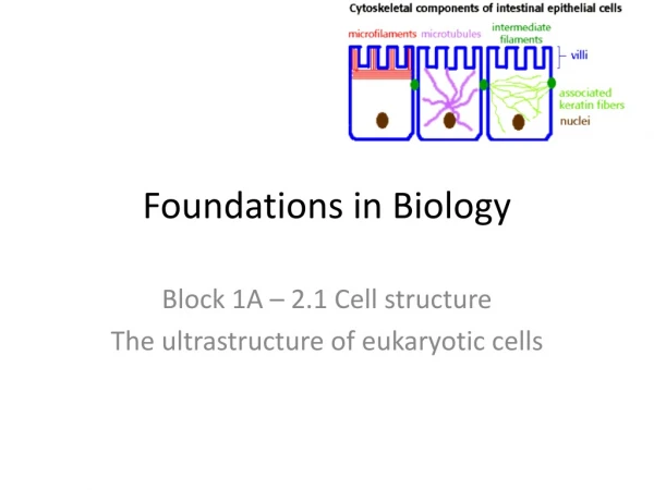 Foundations in Biology
