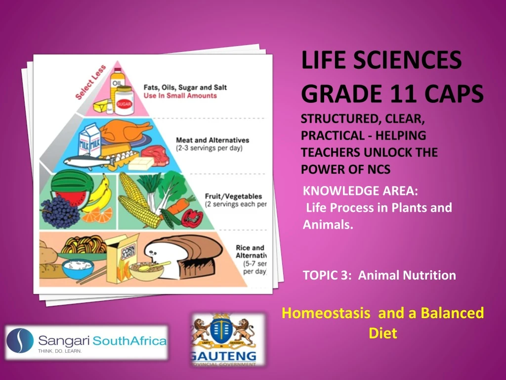 life sciences grade 11 caps structured clear practical helping teachers unlock the power of ncs