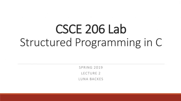 CSCE 206 Lab Structured Programming in C