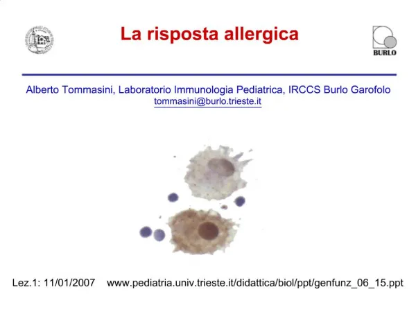 La risposta allergica