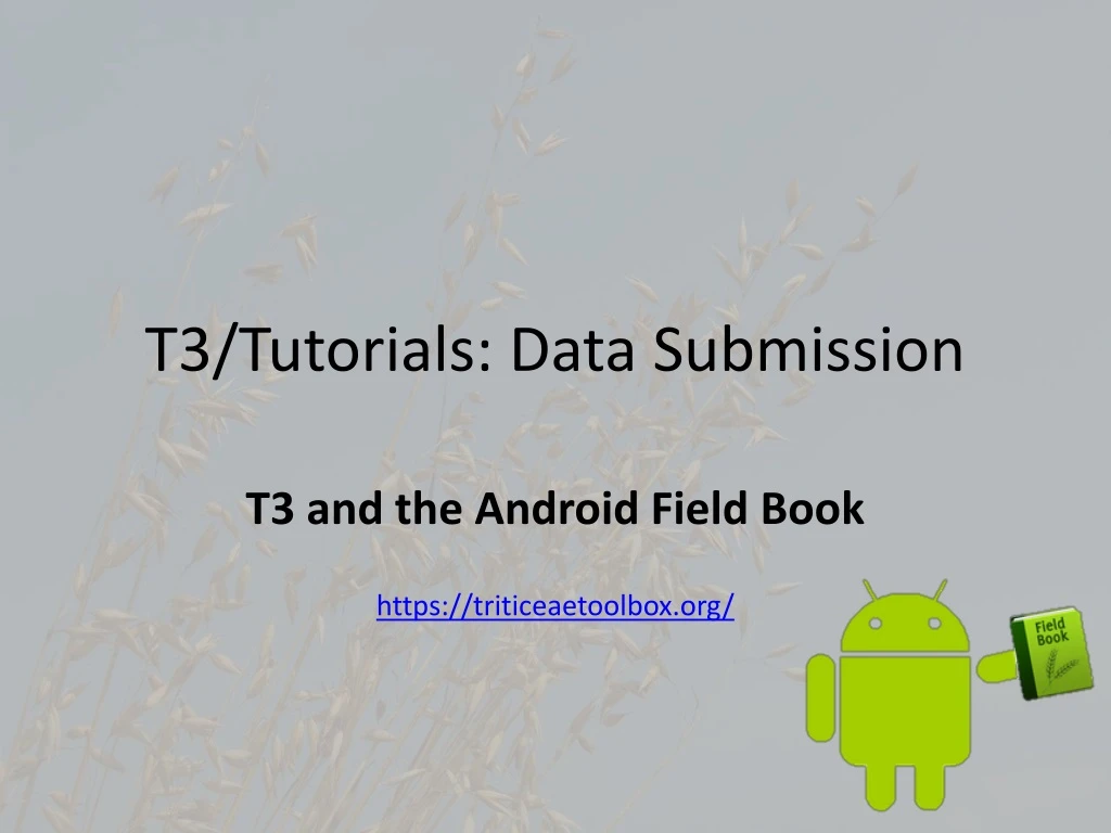 t3 tutorials data submission