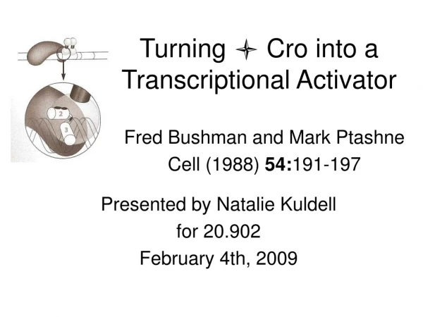 Turning  Cro into a Transcriptional Activator