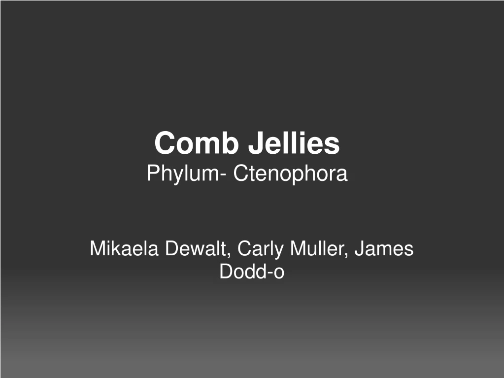 comb jellies phylum ctenophora