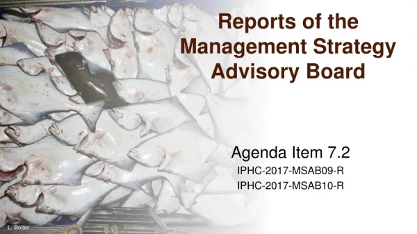 Reports of the Management Strategy Advisory Board