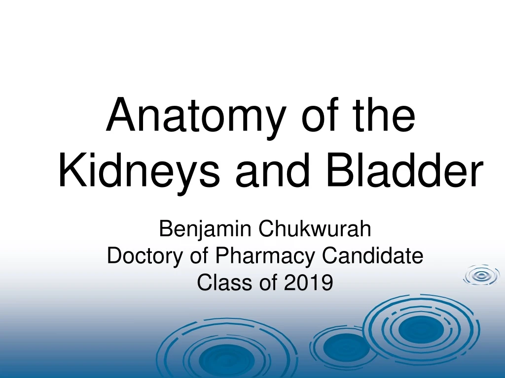 benjamin chukwurah doctory of pharmacy candidate class of 2019