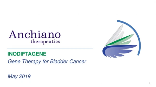 INODIFTAGENE Gene Therapy for Bladder Cancer May 2019