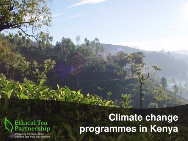 Climate change programmes in Kenya