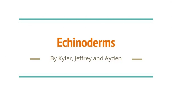 Echinoderms