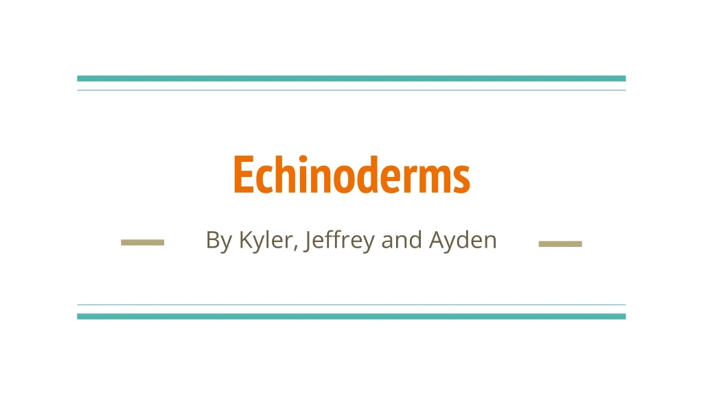 echinoderms