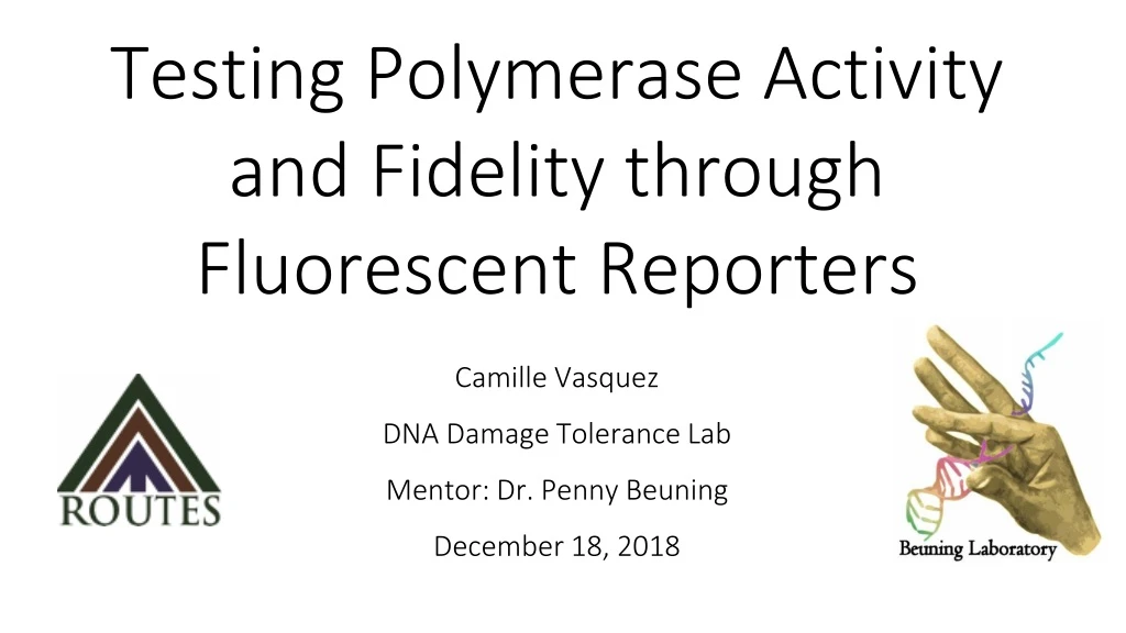 testing polymerase activity and fidelity through fluorescent reporters