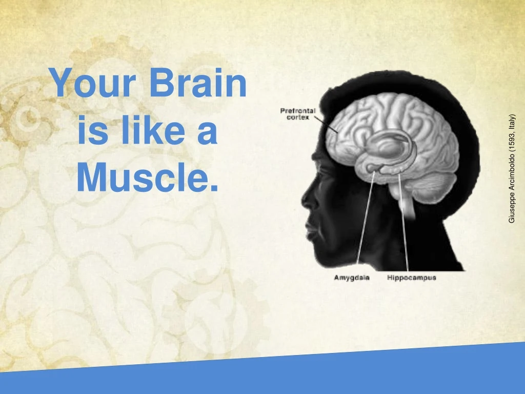 your brain is like a muscle