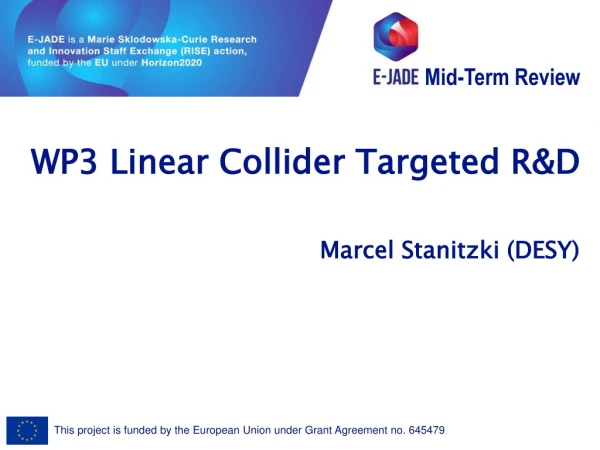 WP3 Linear Collider Targeted R&amp;D
