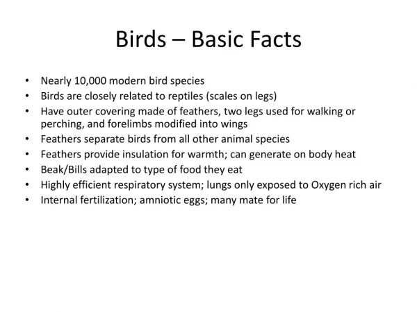 Birds – Basic Facts