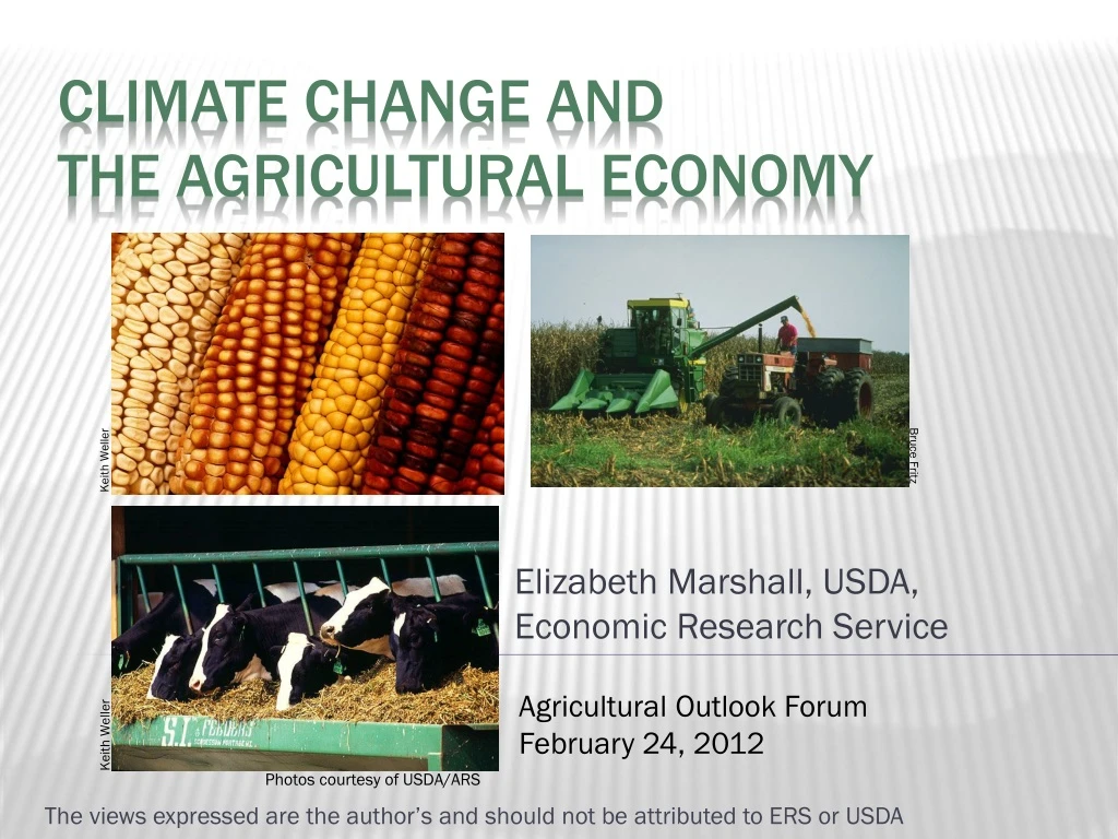 elizabeth marshall usda economic research service