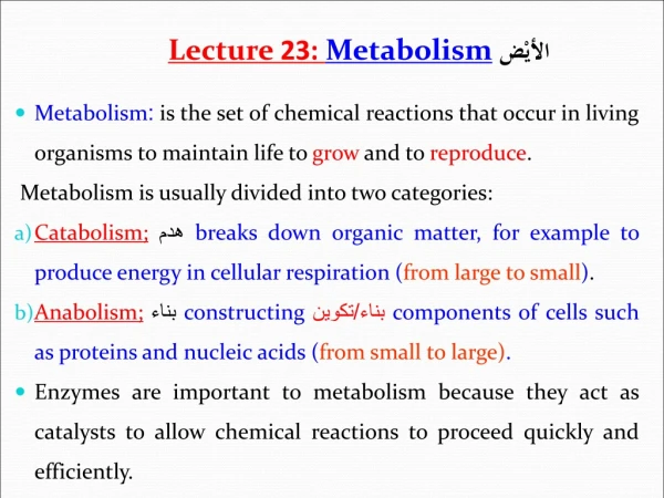 Lecture 23: Metabolism الأيْض