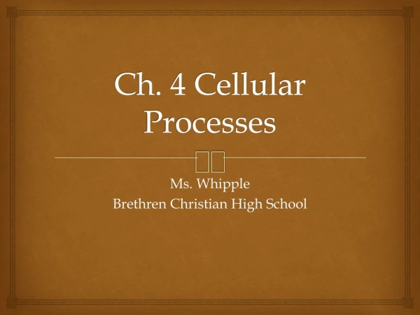 Ch. 4 Cellular Processes