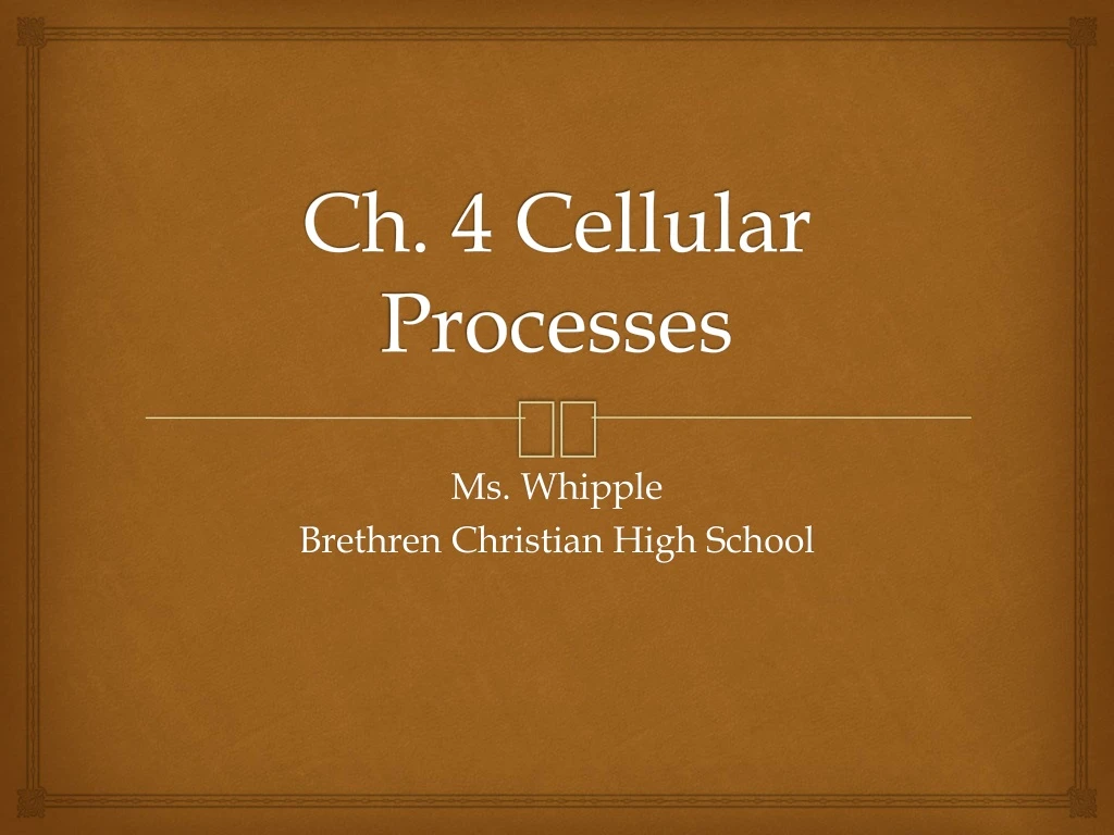 ch 4 cellular processes