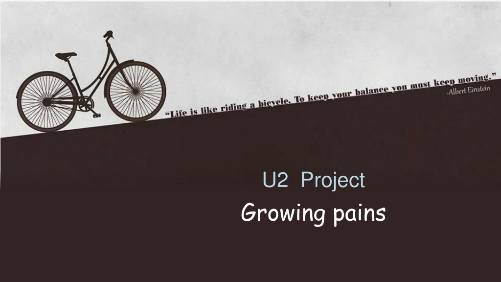 u2 project