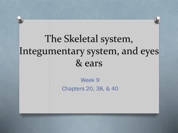 The Skeletal system, Integumentary system, and eyes &amp; ears