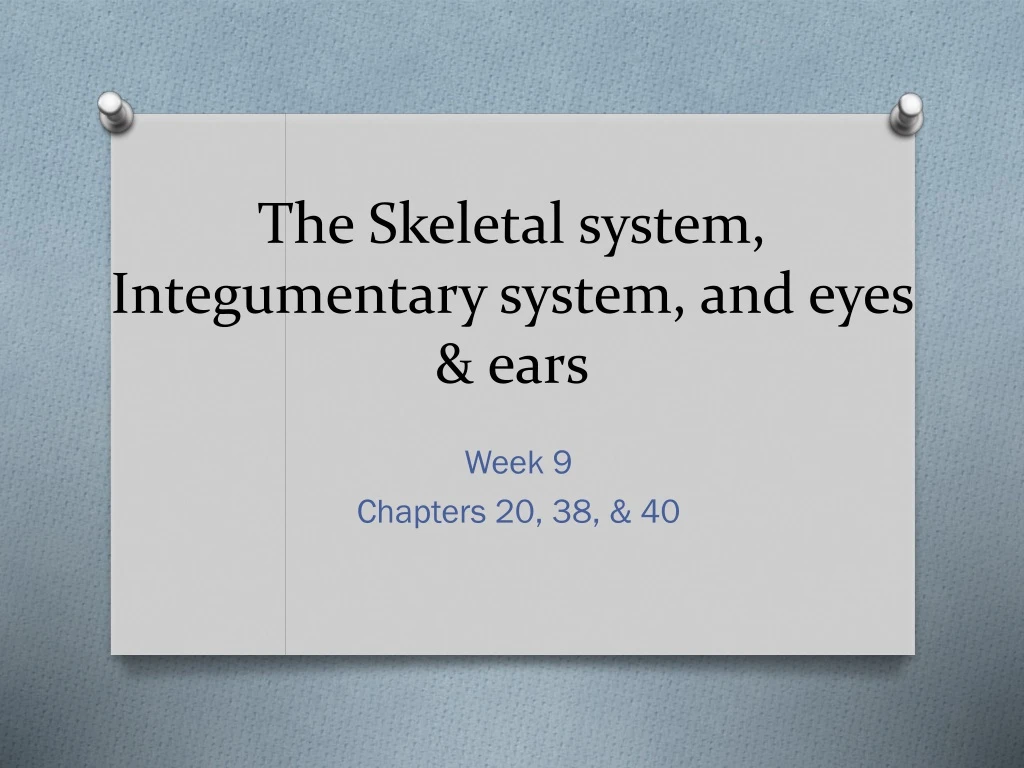 the skeletal system integumentary system and eyes ears