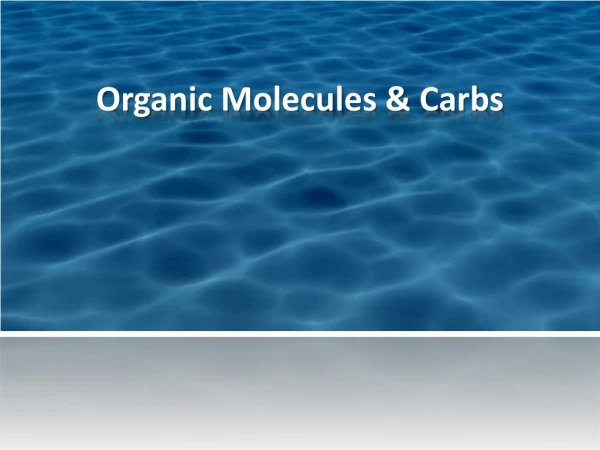 Organic Molecules &amp; Carbs