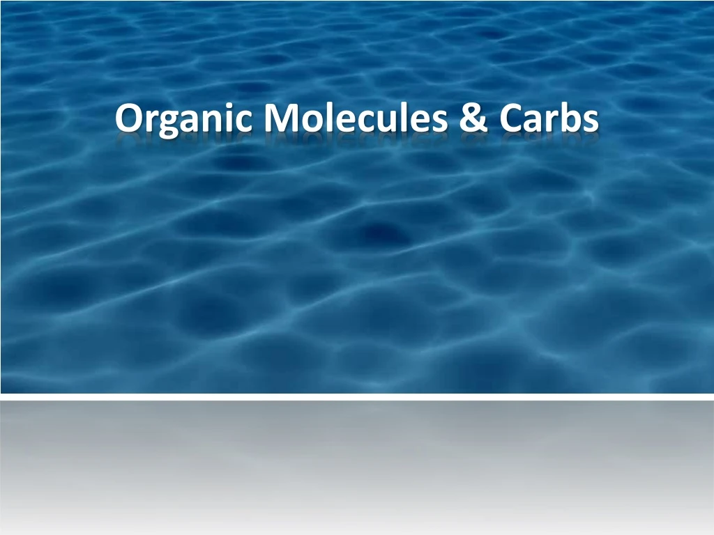 organic molecules carbs